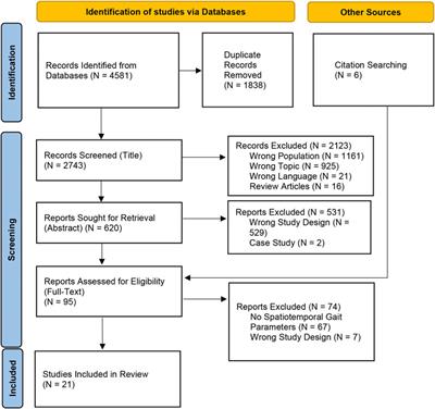 Pregnancy-induced gait alterations: meta-regression evidence of spatiotemporal adjustments